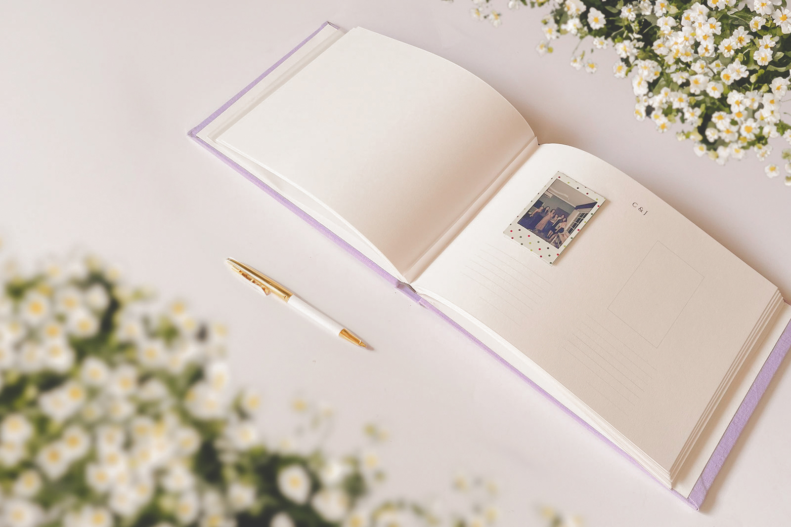 Libros de firmas